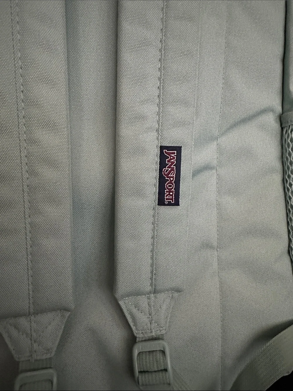 Jansport classic sage